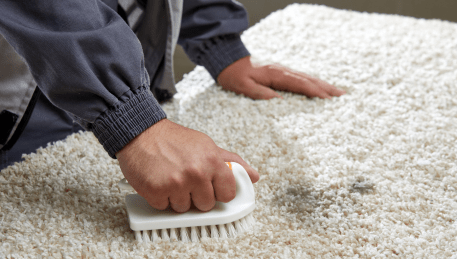 Professional Rug Cleaning Newtown